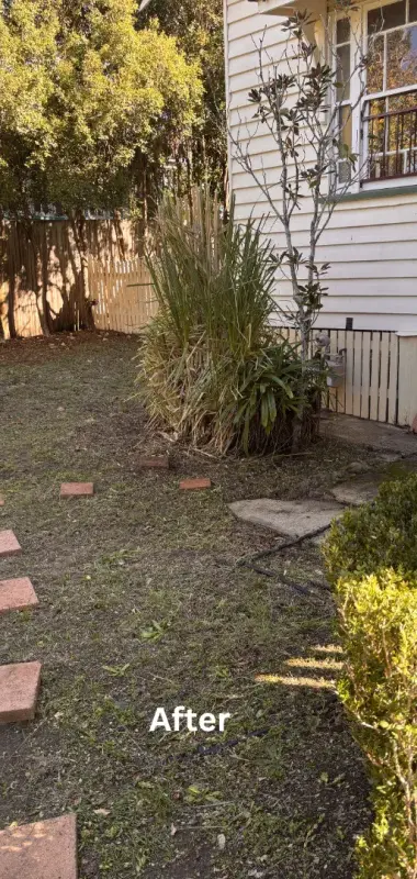 Garden and exterior clean-up - after