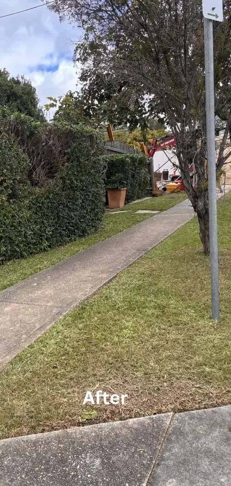Lawn and verge mowing - after