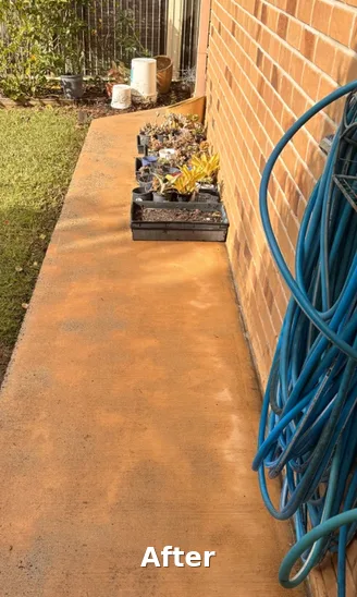 Concrete garden path pressure washed - after