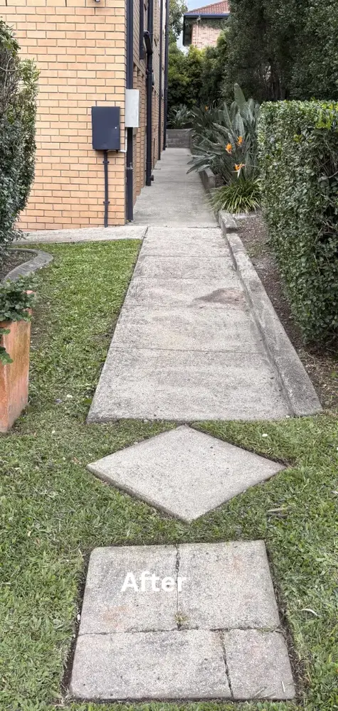 Path and paver pressure washing - after