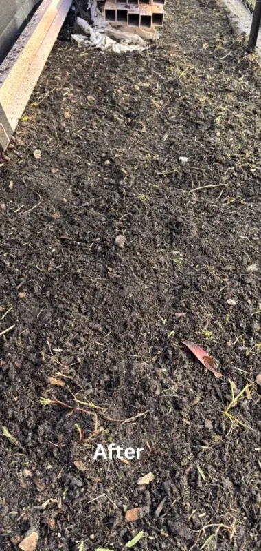 Garden bed weeding - after